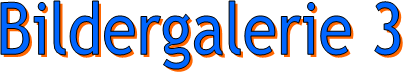 Bildergalerie 3